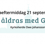 Temaeftermiddag