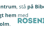 cropped-Hemsida-logotyp-sidhuvud.png