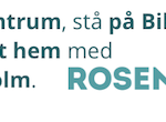 cropped-Hemsida-logotyp-sidhuvud-2.png