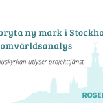 Projekttjänst 2