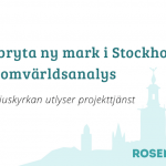 Projekttjänst 2