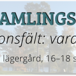 Bildspel hemsidan