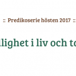 Bildspel hemsidan 2