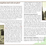 Predikoserie flyer s 2