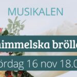 2024-11-16-musikal-slider